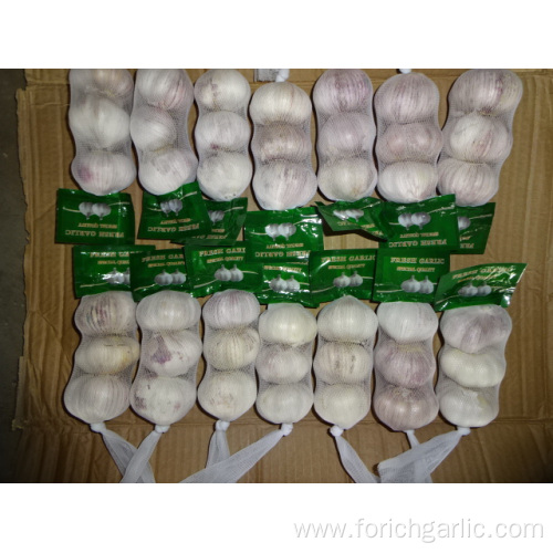Normal White Garlic From Jinxiang